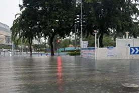 出行注意：红色暴雨预警生效中，珠海多处水浸，全市公交已停图片