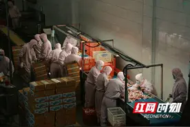 “豫”见新机①图片