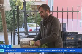食品价格同比上涨近三成！土耳其物价成倍上涨，民众被迫缩减生活开支图片
