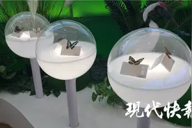 这里有蝴蝶、猛禽……快来看江苏生物多样性的缤纷画卷图片