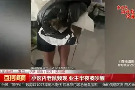 海口一小区内老鼠频现，业主质疑卫生清理不及时，物业：垃圾跟老鼠有关系吗？图片
