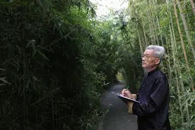 一周艺术人物图片