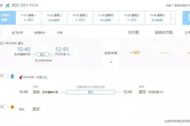 玉林福绵机场：将开通抵达武汉、成都两条航线图片