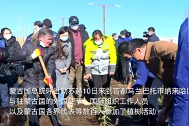 蒙古国种植“十亿棵树计划”全面启动视频封面