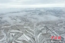 2021年的第一场雪，比往年来的早一些？图片