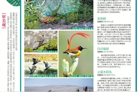 万物有灵，它们对云南情有独钟图片