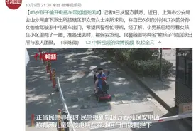 胆子也太大了！6岁男孩偷开电瓶车带7岁姐姐兜风图片