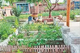 小康圆梦·鲜花盛开的村庄｜库勒人勤 小院菜俏图片