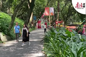 南方视频｜雨后气温初降，越秀公园来寻秋图片