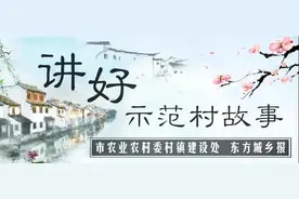 讲好示范村故事｜嘉定周泾村：集中归并盘活土地，为农业装上“智慧脑”图片