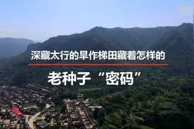 新华全媒+｜深藏太行的旱作梯田藏着怎样的老种子“密码”图片