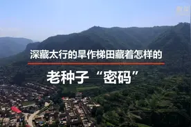 新华全媒+｜深藏太行的旱作梯田藏着怎样的老种子“密码”图片