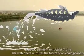 我们的共同家园｜生态城市 美丽上海视频封面