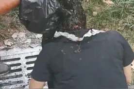 低俗直播群聚街头，惩罚游戏刷低下限...图片