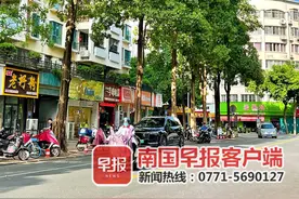 南宁街头这些行道树的花香令人“上头”，专家：对人体无害图片
