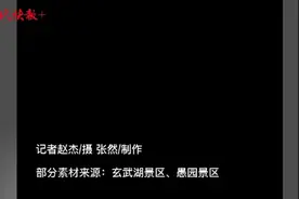 秋日胜春朝！春秋两季花卉在南京多个景区同开图片