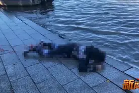 哈尔滨一男子在松花江钓鱼，竟从江里拽上一具遗体图片