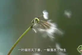 我们的共同家园｜建设美丽新宁夏视频封面