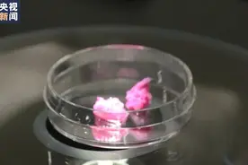 纹理逼真 日本成功研发3D打印“和牛肉”图片