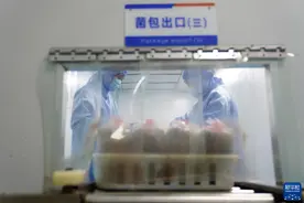 山东临清：发展桑黄种植 带动增收致富图片