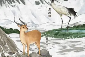 我们的共同家园丨中国珍稀动植物图鉴图片