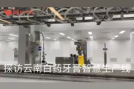 神奇药草“炼金术”一年创收近436亿元——在云南昆明看生物多样性保护成就图片
