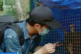 巴西野生动物种类繁多！记者实地探访野生动物保护组织→图片