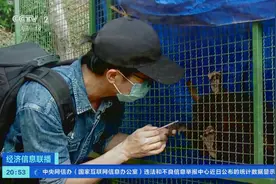 巴西野生动物种类繁多！记者实地探访野生动物保护组织→图片