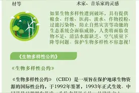 关于生物多样性，这些知识可以讲给学生图片