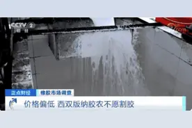 每吨涨超2000元！这种原料，价格大涨，农民却纷纷放弃它？咋回事？图片