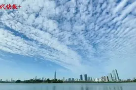 秋高气爽！南京清晨天空现壮观“鱼鳞云”图片