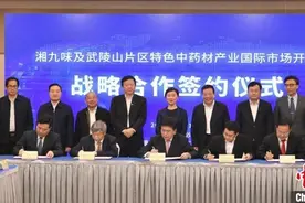 湖南加速湘药出海 推动中药材产业国际化图片
