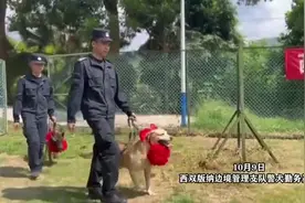 舍不得，“战友”们告别战场！云南警方为3只功勋警犬举行退役仪式图片