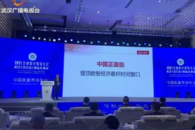 马光远：武汉具有构建国际国内双循环新枢纽的良好潜力图片