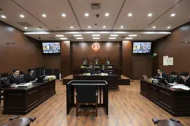无期徒刑！浙江临安吴越国王陵被盗掘案一审判决图片