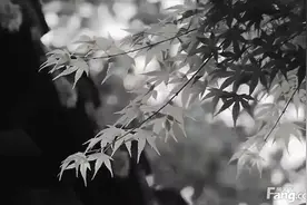 水西雲庐好不好？置业顾问从项目现场发回小视频视频封面