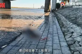 哈尔滨一市民江边钓鱼发现男尸，警方：已找到死者家属，正在调查图片