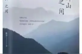 上游•夜雨丨陈涛《在群山之间》作品研讨会在重庆少数花园成功举行图片