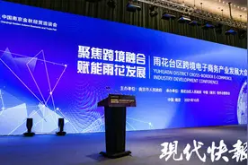 为跨境电商产业发展赋新能！南京金洽会雨花台区23个项目签约，总投资223亿元图片