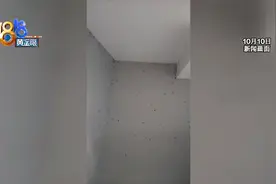 一只蟑螂，一年能繁殖上千万只。怎么对付“小强”点这里图片