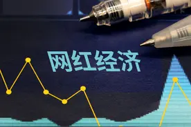 网红补税第一案曝光，大数据为税收公平赋能 | 新京报专栏图片