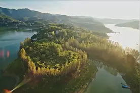 携手同行，开启人类高质量发展新征程——习近平主席在《生物多样性公约》第十五次缔约方大会领导人峰会上的主旨讲话解读图片