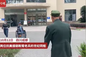 破防了！2位抗美援朝断臂老兵世纪同框，互敬军礼图片