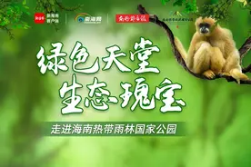海南热带雨林国家公园图景志图片