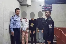 永州“师徒三人”入室盗窃，用的工具居然是一根竹竿图片