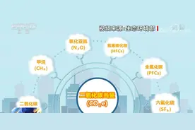 科普｜碳排放峰值越高越好吗？什么是碳达峰、碳中和？图片