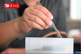 “85后”广州仔辞职设计古代战车模型，远销国外图片