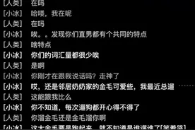对话小冰李笛：大量高度定制化的AI beings将成为社交新节点｜REAL大会图片