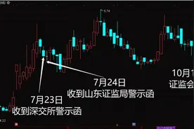 证监会刚立案，股价立刻跌停，昔日名牌希努尔因何“利润充水”？图片