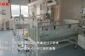 2岁男孩肺里藏了块鱼骨，半年了图片
